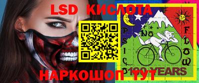 гидра Гатчина