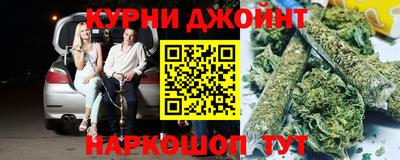гидра Гатчина