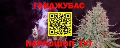 гидра Гатчина
