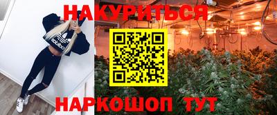 шишки Гусев