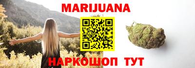 гидра Гатчина