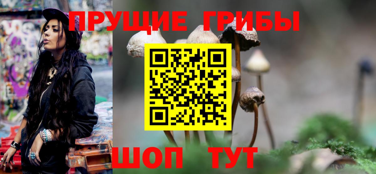 Малгобек  Галлюциногенные грибы прущие грибы  Вход с VPN 