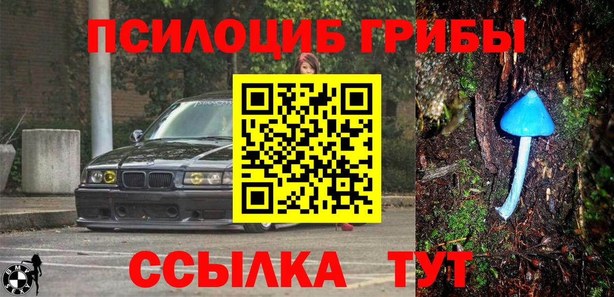 Галлюциногенные грибы MAGIC MUSHROOMS Малгобек